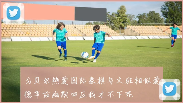 戈贝尔热爱国际象棋与文班相似爱德华兹幽默回应我才不下呢