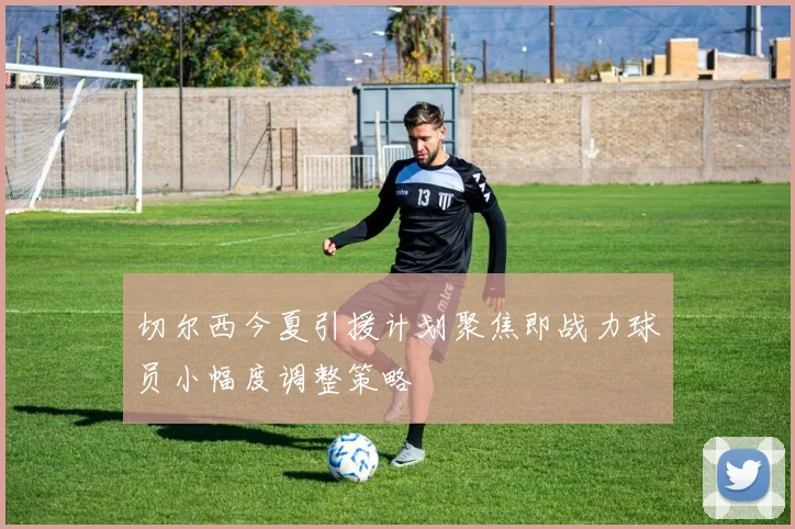 切尔西今夏引援计划聚焦即战力球员小幅度调整策略